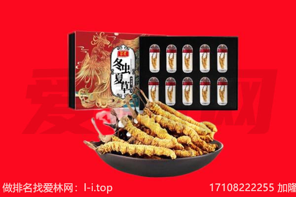 甘南回收虫草.jpg